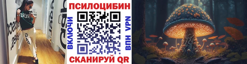 Купить  Мензелинск  Псилоцибиновые грибы Cubensis 